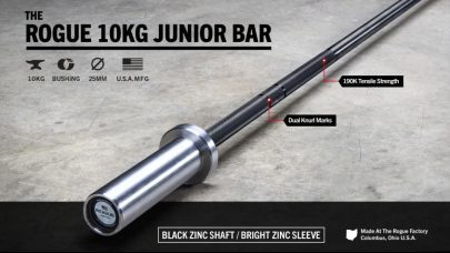 ROGUE 10KG JUNIOR BAR