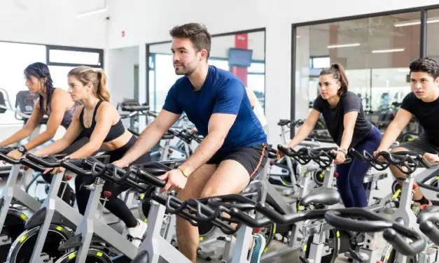 top rated spin bikes under 500