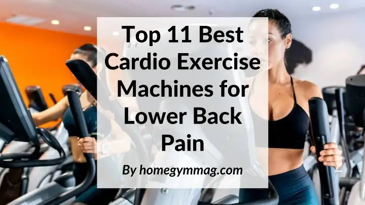 best exercise machines for lower back pain